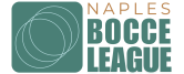 nbl logo draft